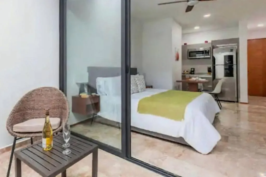 Menesse 38 Studio King Bed Roof Pool Playa Center プレヤデルカーメン
